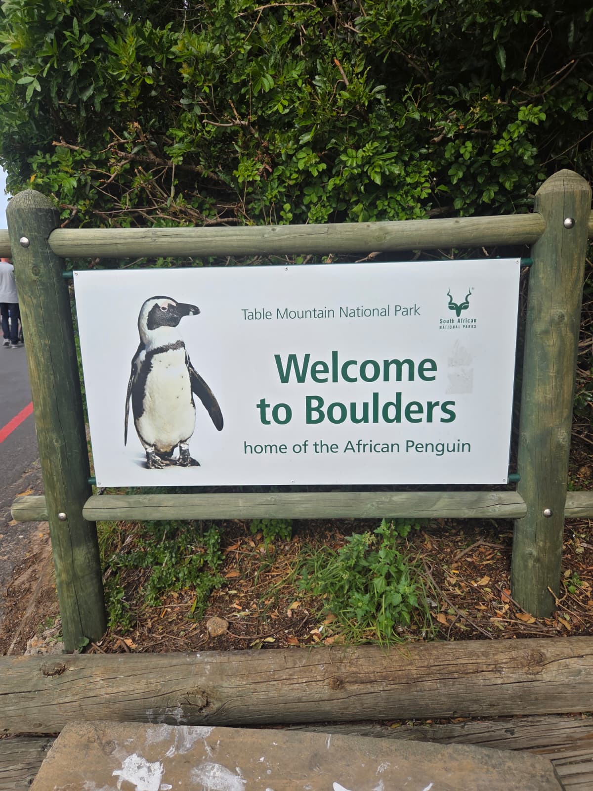 South Africa trip photo 1